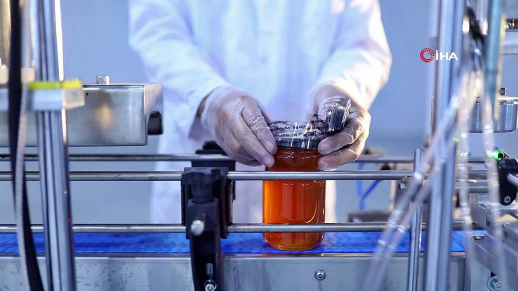 O kentin balı, Fransa'da binlerce markette satılacak! Avrupa Birliği tarafından tescillendi, tonlarca ihraç ediliyor 11